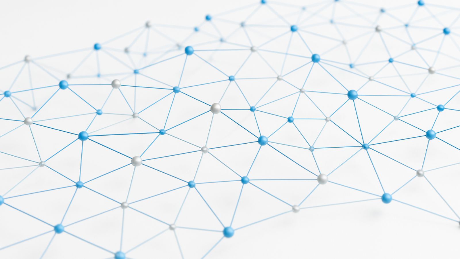 Digital network mesh
